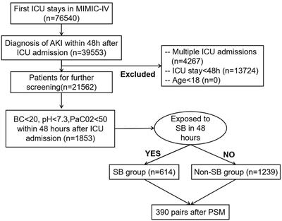 Effect of sodium bicarbonate infusion on hospital mortality in acute kidney injury patients with metabolic acidosis